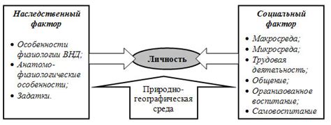 Возрастные и биологические факторы