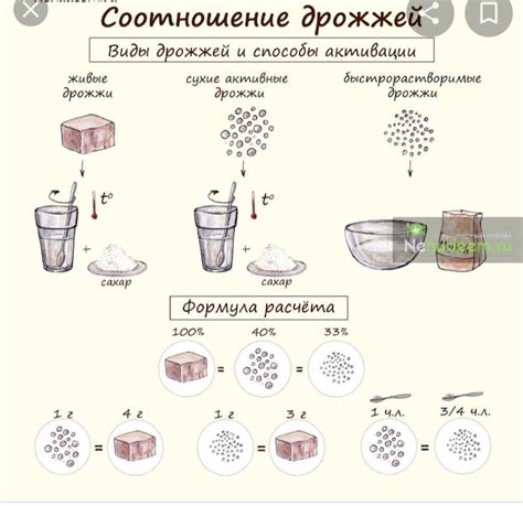 Дозировка дрожжей: какое количество дрожжей в двух чайных ложках сухих дрожжей