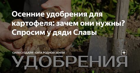 Зачем нужны осенние удобрения