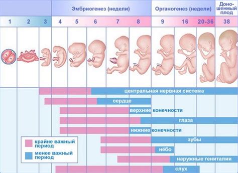 Как улучшить ощущение шевелений ребенка в 30 недель беременности