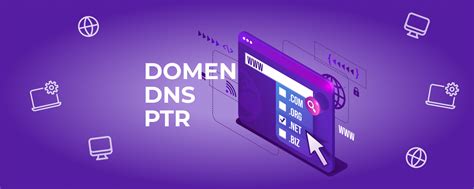 Коротко о компании DNS