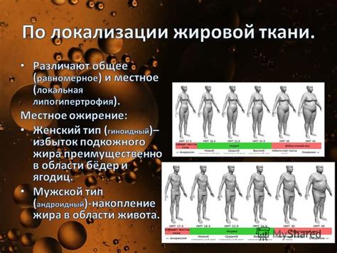 Коррекция жирового обмена с помощью морепродуктов