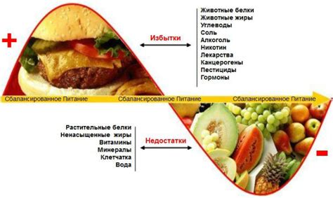 Повышенная кислотность в моче: причины и последствия