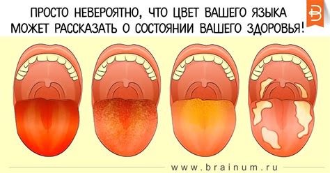 Почему возникает желтый налет после обжига казана с маслом