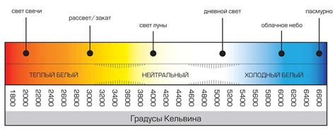 Режим освещения и температуры