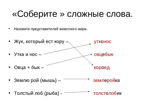 Существительные с корнем в одной согласной