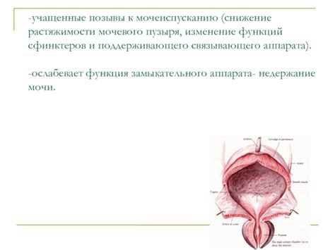 Ухудшение функций мочевого пузыря