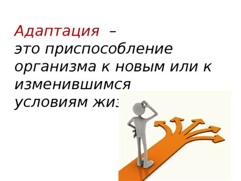 Адаптация: приспособление человека к новым условиям