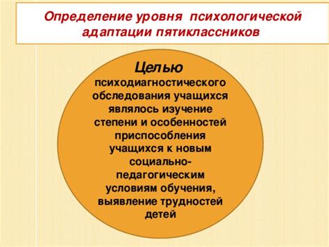 Адаптация в новой среде: важность приспособления к новым условиям