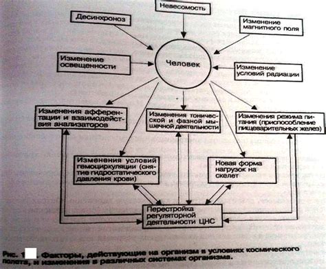 Адаптация к невесомости