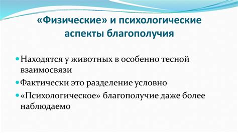 Акклиматизация: физические и психологические аспекты