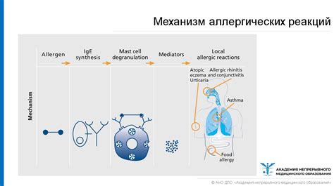 Аллергическая реакция и сезонные заболевания