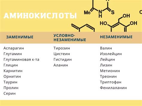 Аминокислоты и их роль в биологии