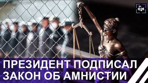 Амнистия в Белоруссии: когда ожидать следующей возможности для освобождения