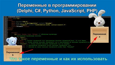 Анализ роста переменной n в программировании