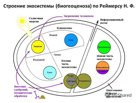 Анализ снов о биологическом процессе и связи с эмоциональным состоянием