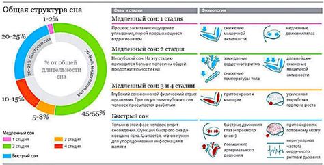 Анализ характера и содержания сна