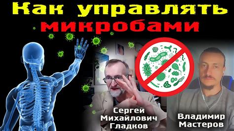 Аналогия между вирусами в человеческом организме и компьютерных вирусах