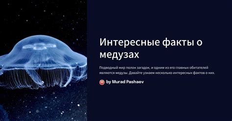 Анатомия и физиология медуз: уникальность строения