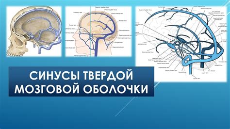 Аномалии в мозговой деятельности