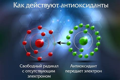 Антиоксиданты и защитные фильтры