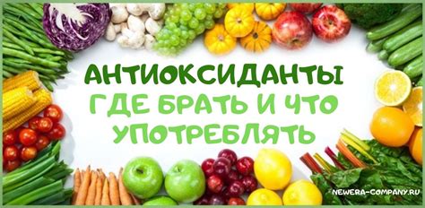 Антиоксиданты и иммунитет