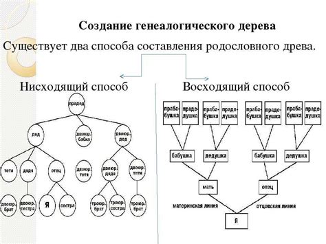 Аргументация на основе генеалогической таблицы