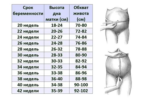 Ассоциации с снами о управлении автомобилем во время беременности