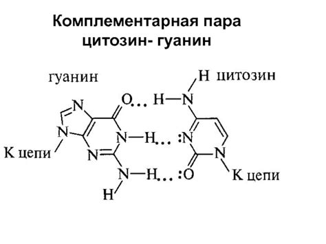 Базовая пара цитозин-гуанин