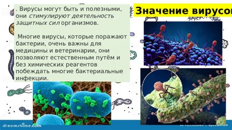 Бактерии и инфекции, которые могут попасть в организм