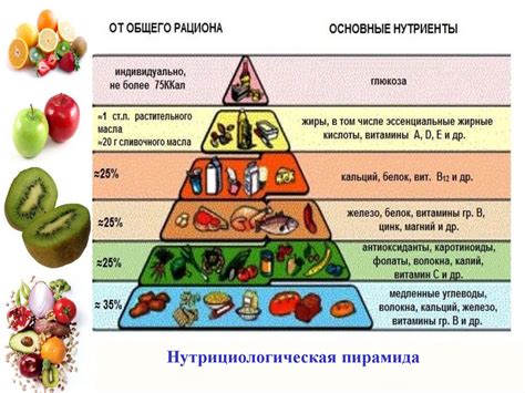 Баланс овощей и других продуктов в рационе