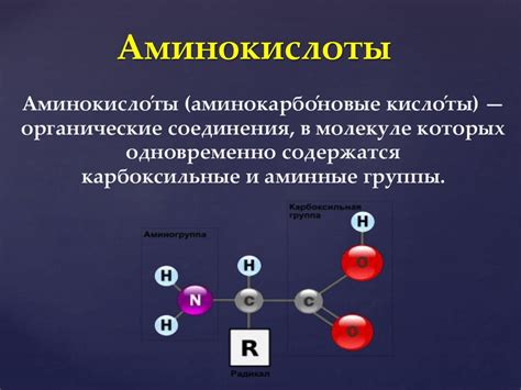 Белки и аминокислоты