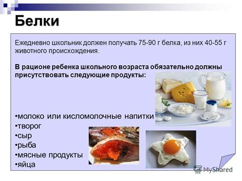 Белки и кисломолочные продукты в рационе