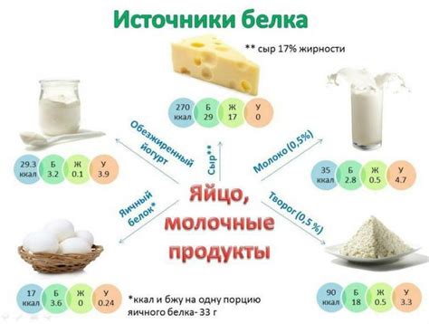 Белковая пища для ракушек