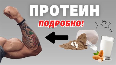 Белковые продукты для нарастания мышц в ляшках