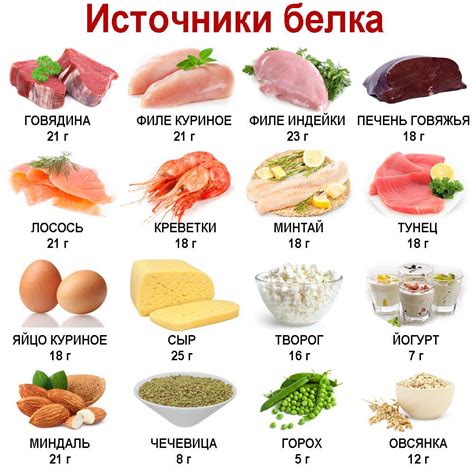 Белковые продукты для поддержания мышц