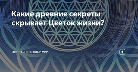 Беременность в мечтах: таинственный образ жизни и его символика