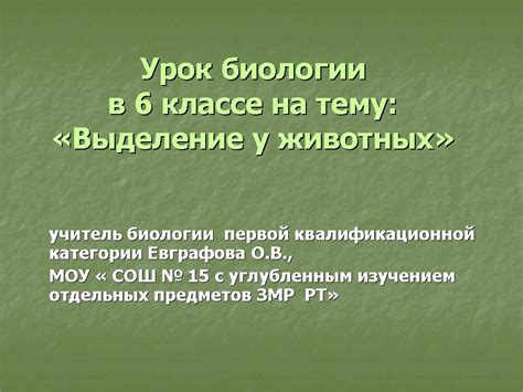 Биологические процессы, выполняемые без сократительной вакуолы