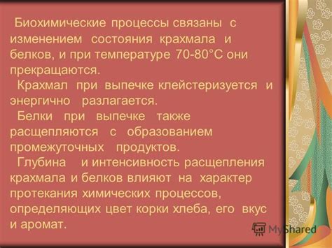 Биохимические процессы, происходящие при температуре 37 градусов