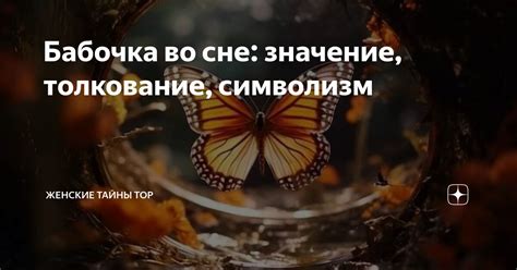 Бисер во сне: символизм и значение