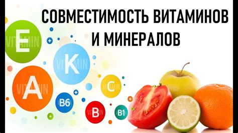 Богат источником витаминов и минералов