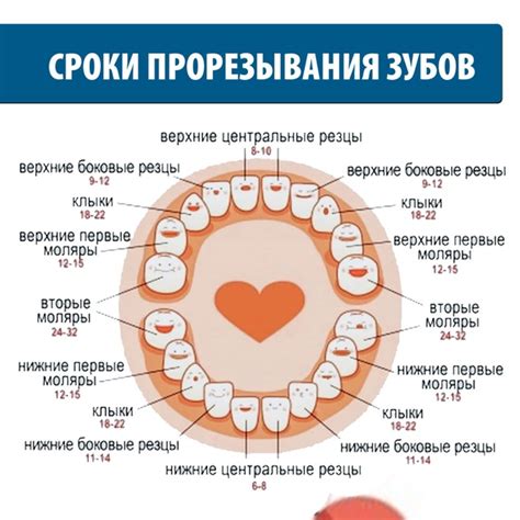 Боль во время роста зубов