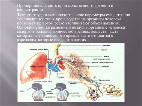 Борьба с внешними воздействиями: психологическая трактовка мощных природных явлений во сновидении