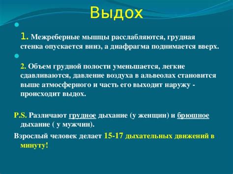 Брюшное дыхание: причины у женщин