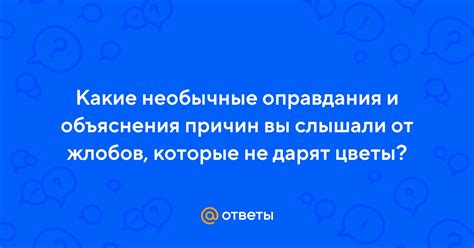 Будни загадочного сбора: необычные причины и неожиданные объяснения