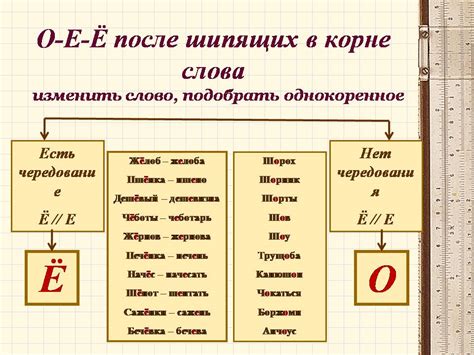 Буквы "ц", "е" и "о" в слове солнце