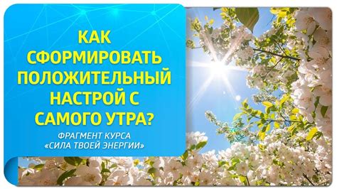 Важная встреча: как ваш эмоциональный настрой отражается на взаимоотношениях с окружающими?