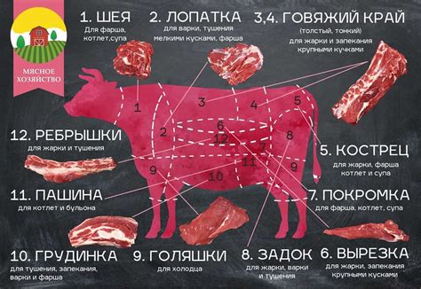 Важное значение правильной обработки мяса: залог безопасности и сохранения качества продукта