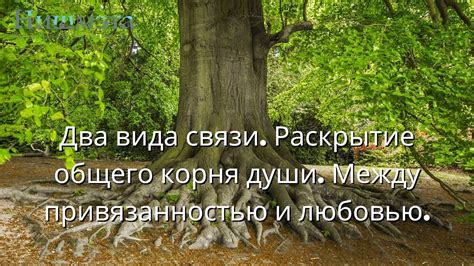 Важность баланса между любовью и привязанностью