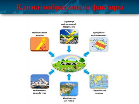 Важность изучения переходных поясов в географии 7 класса